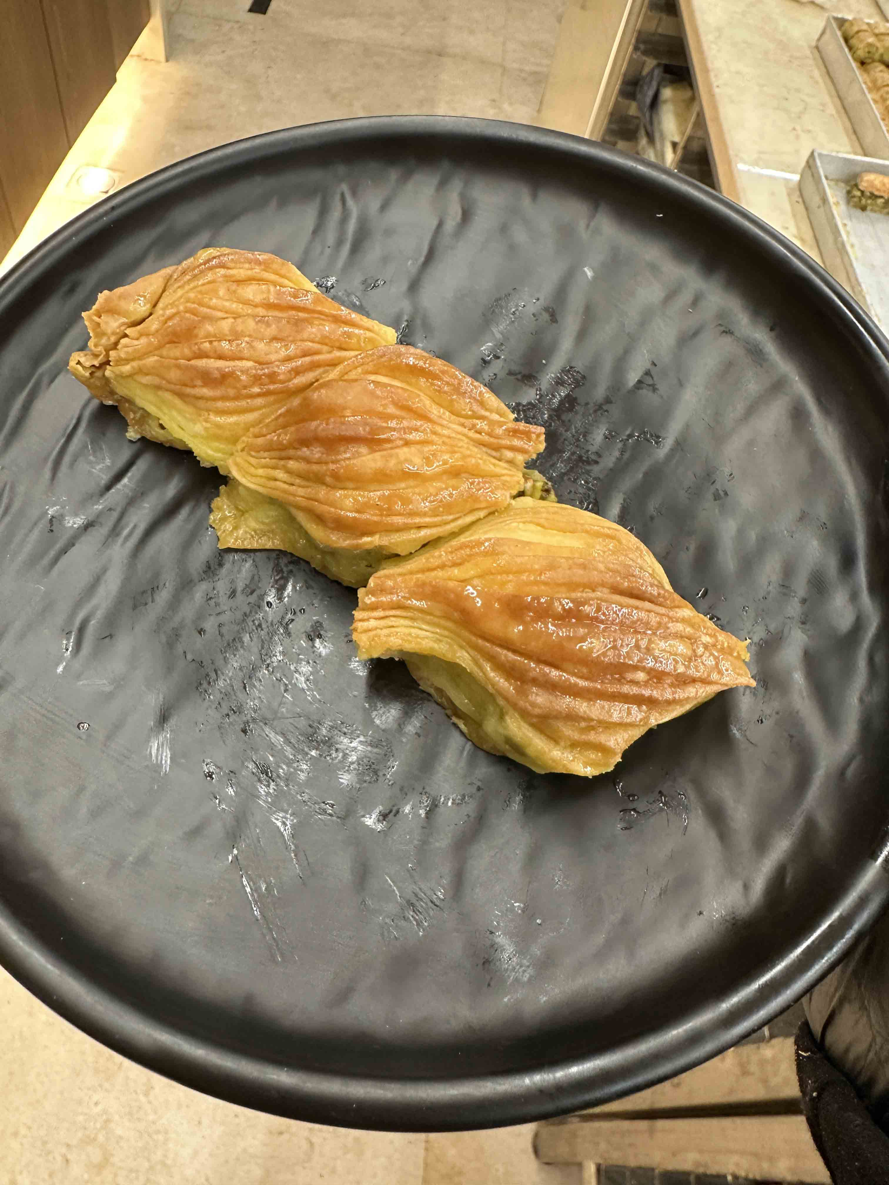 صدفات/عين الجمل